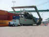 I_Lost_My_Job_Today_2.jpg (38373 bytes)