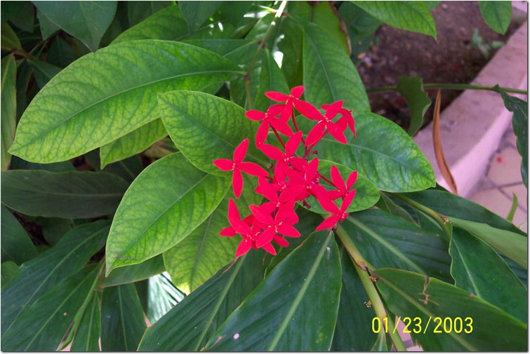 100_0102.jpg