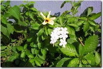 100_0107.jpg