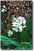 100_0199.jpg